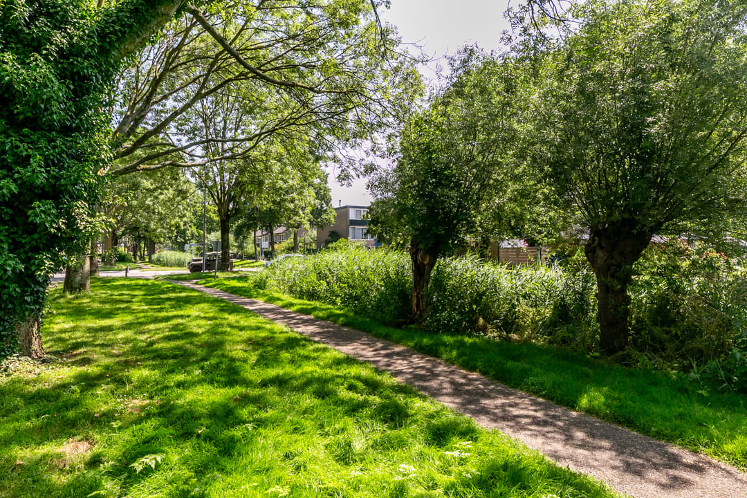 Foto 41 van Wasbloem 11