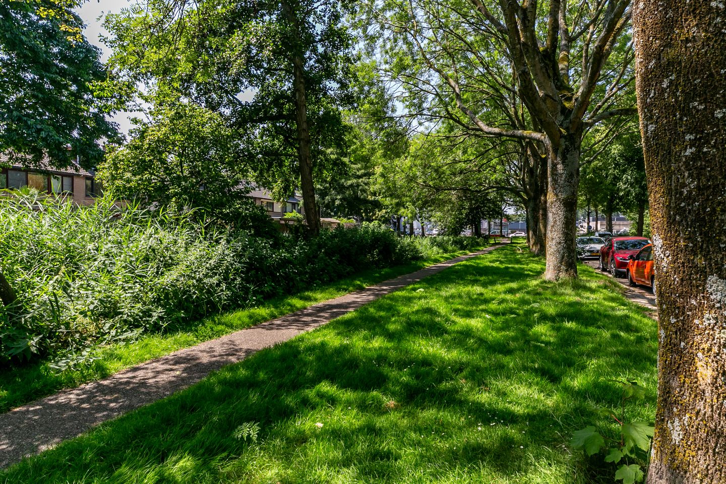 Foto 40 van Wasbloem 11