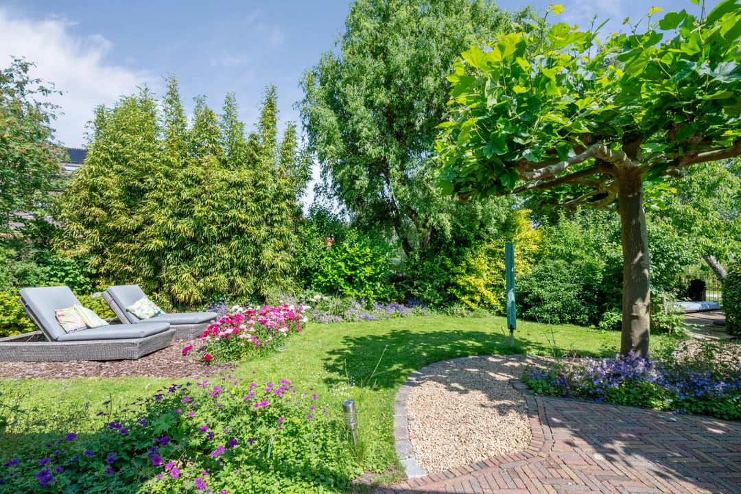 Photo 56 of Hoendiep 15