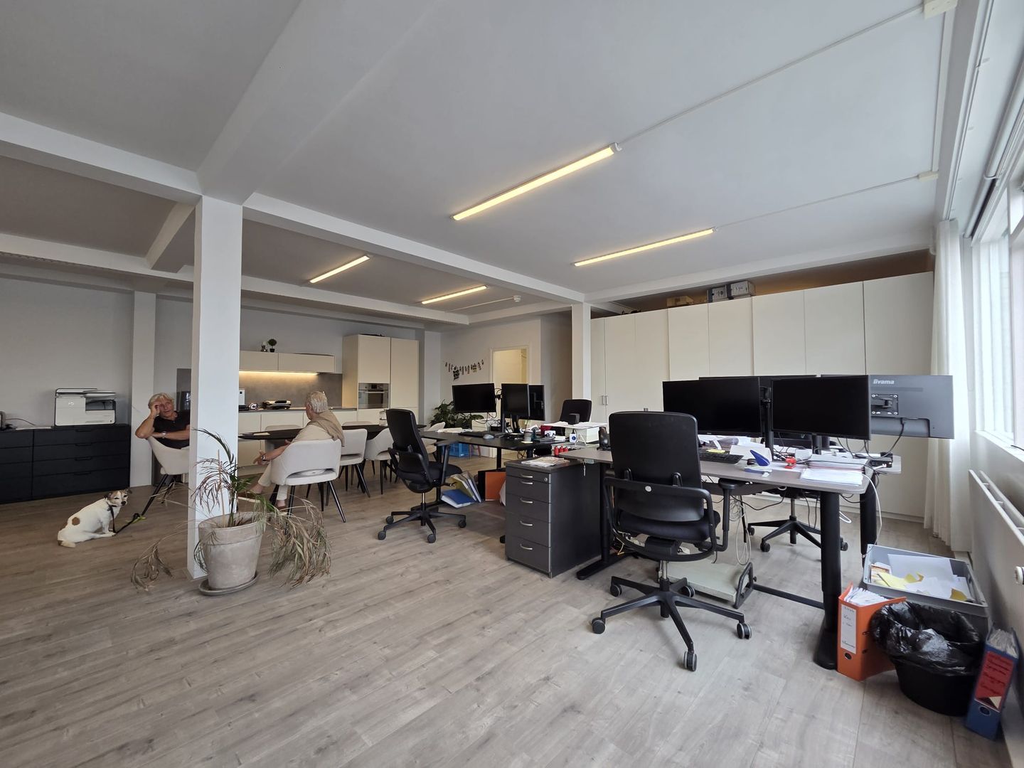 Bekijk foto 3 van Drieharingstraat 6-8
