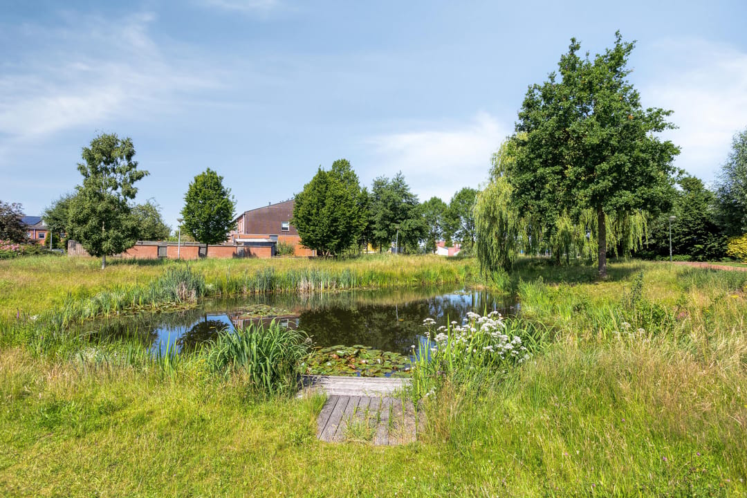 Foto 43 van Tijmpark 8