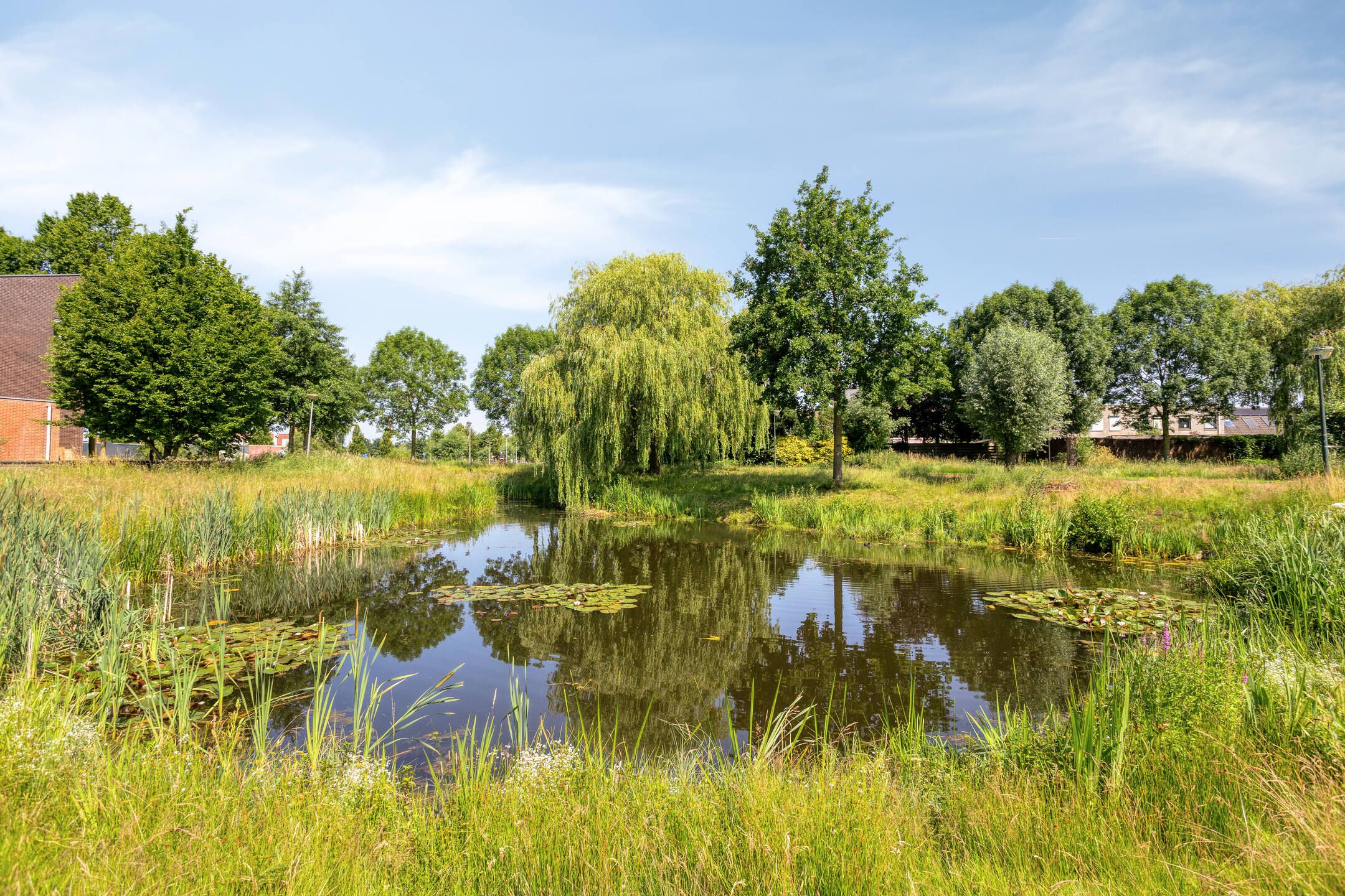 Foto 42 van Tijmpark 8
