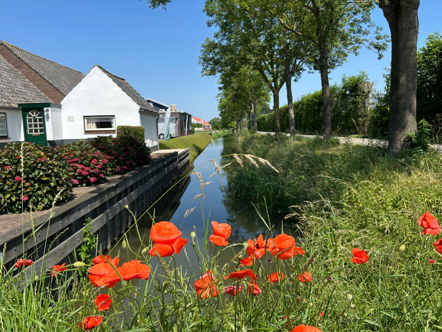 Foto 14 van Nijendijk 2