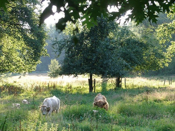 Foto 9 van Nijendijk 2