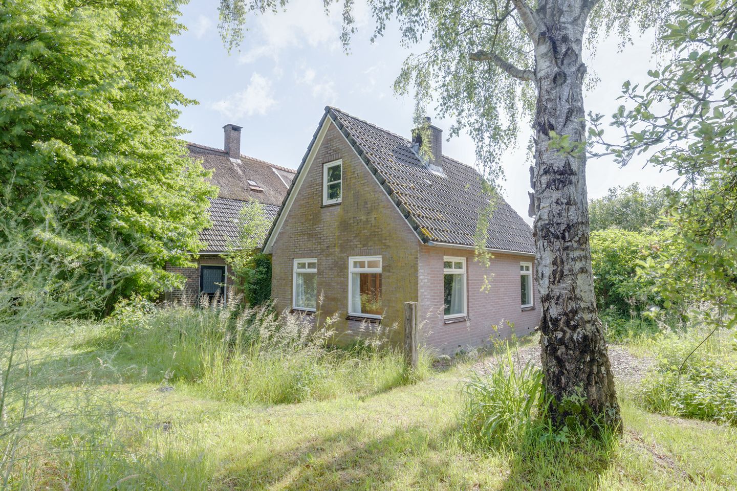 Photo 19 of Rommelderdijk 2