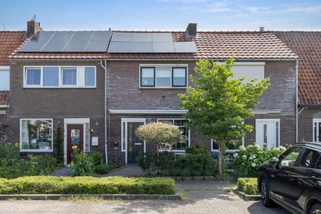 Tulpstraat thumbnail