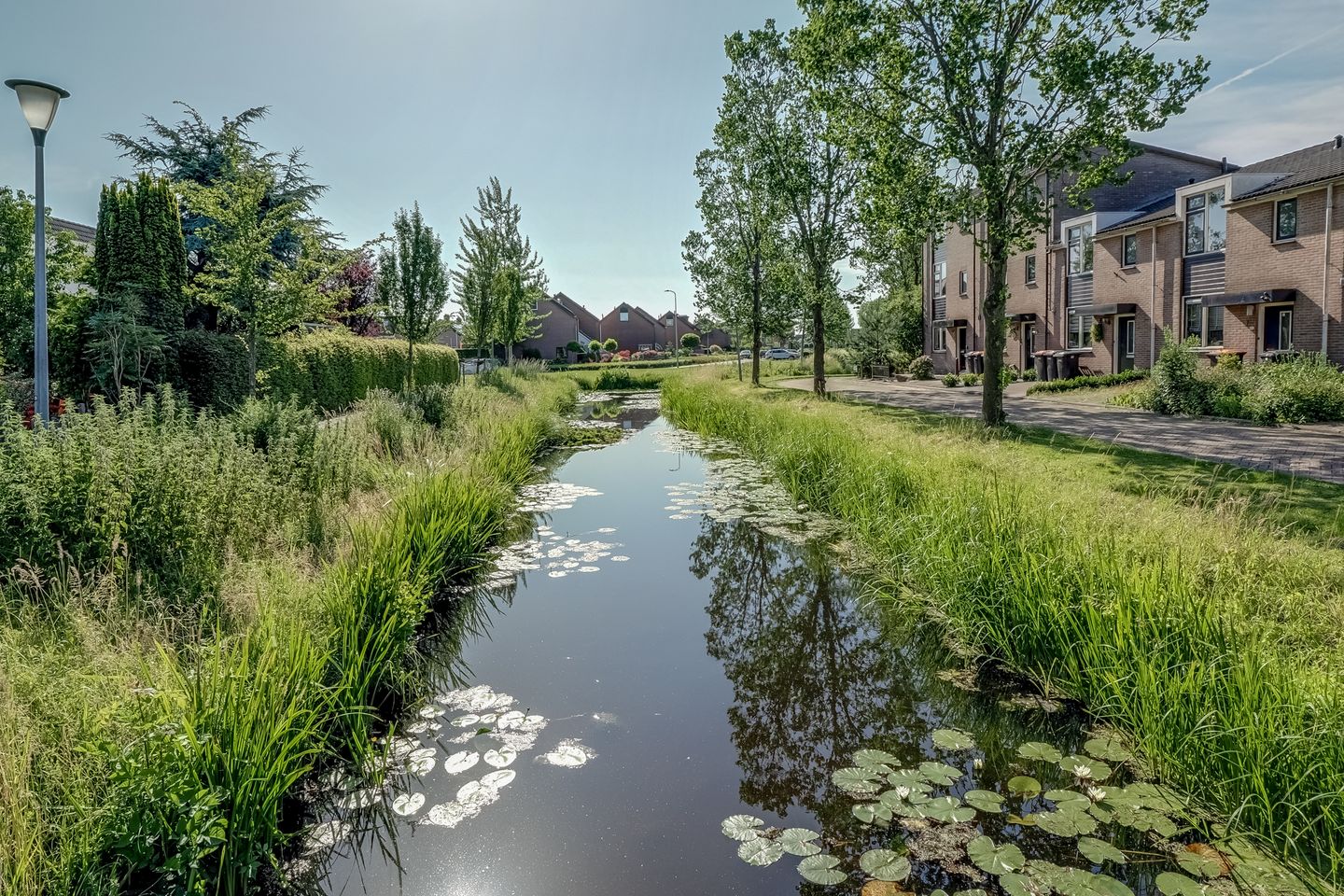 Foto 4 van Grutto 1