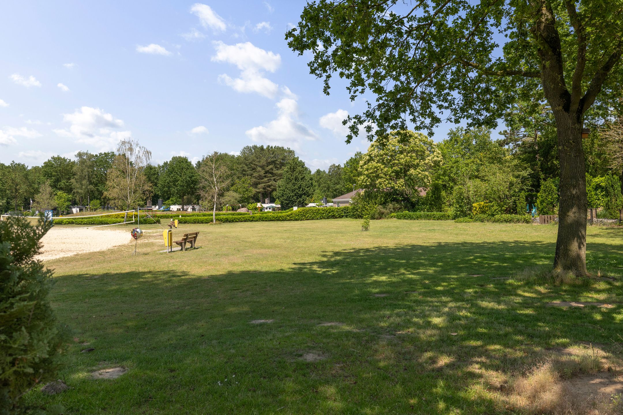 Photo 42 of Ermerzand 13