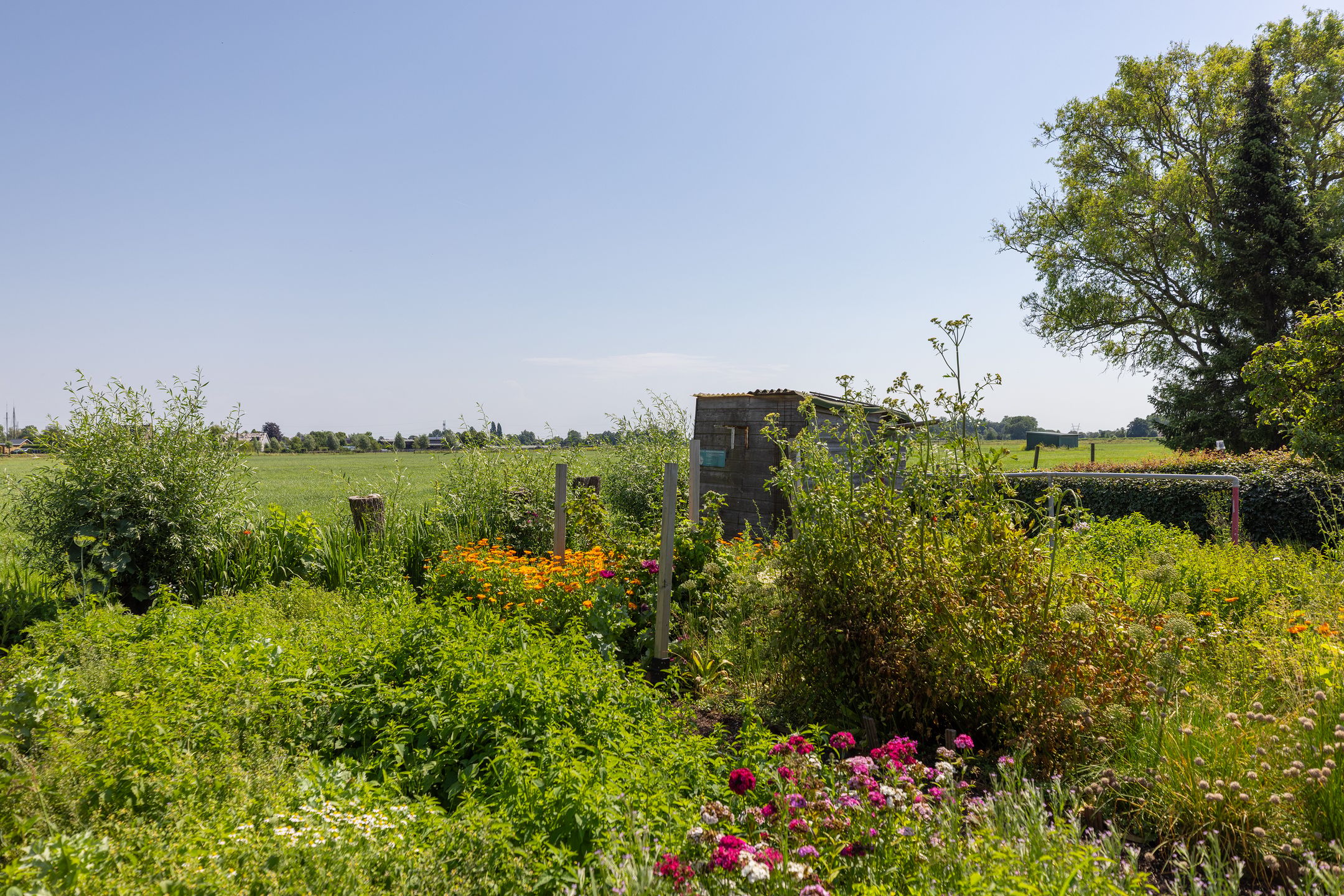 Photo 36 of Lage Klompweg 16-B