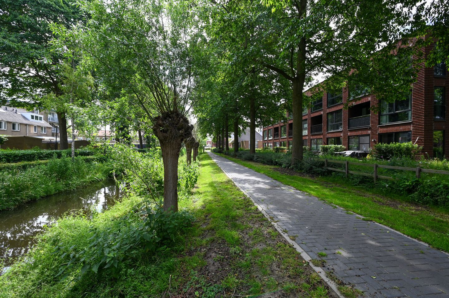 Foto 19 van Ooievaar 20