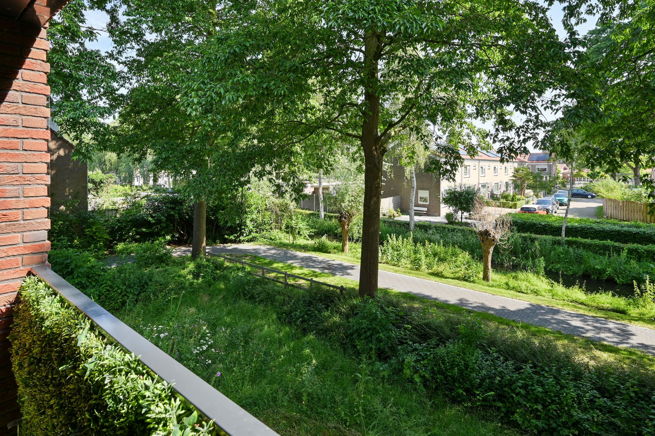 Foto 12 van Ooievaar 20