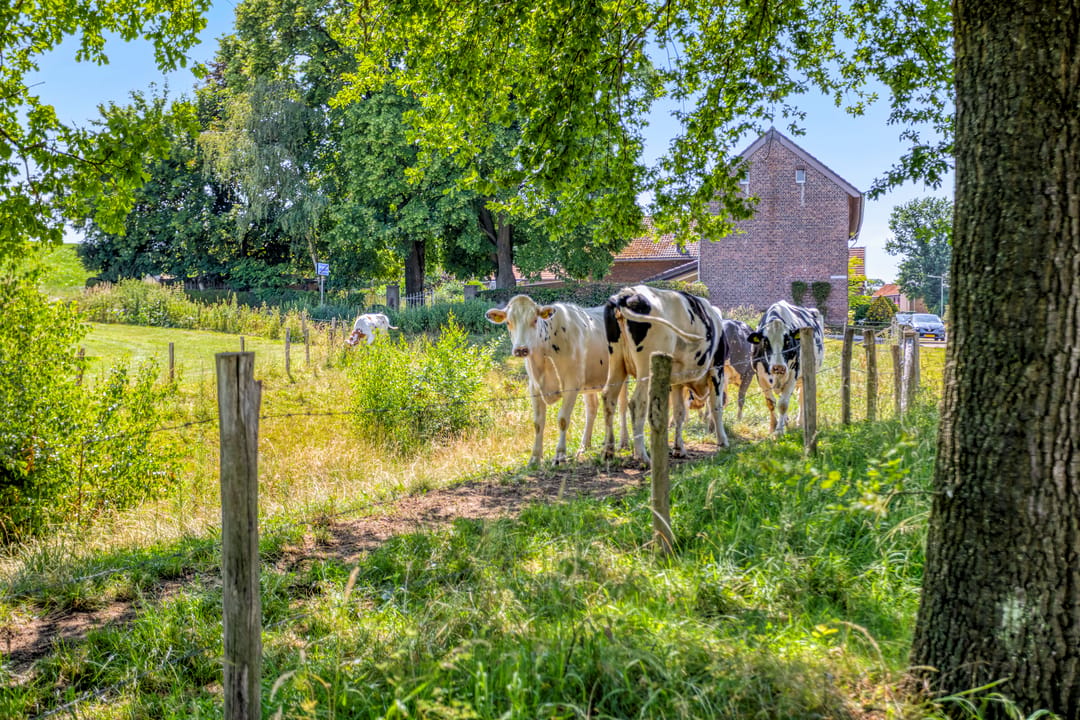 Photo 41 of Reijmerstokkerdorpsstraat 34