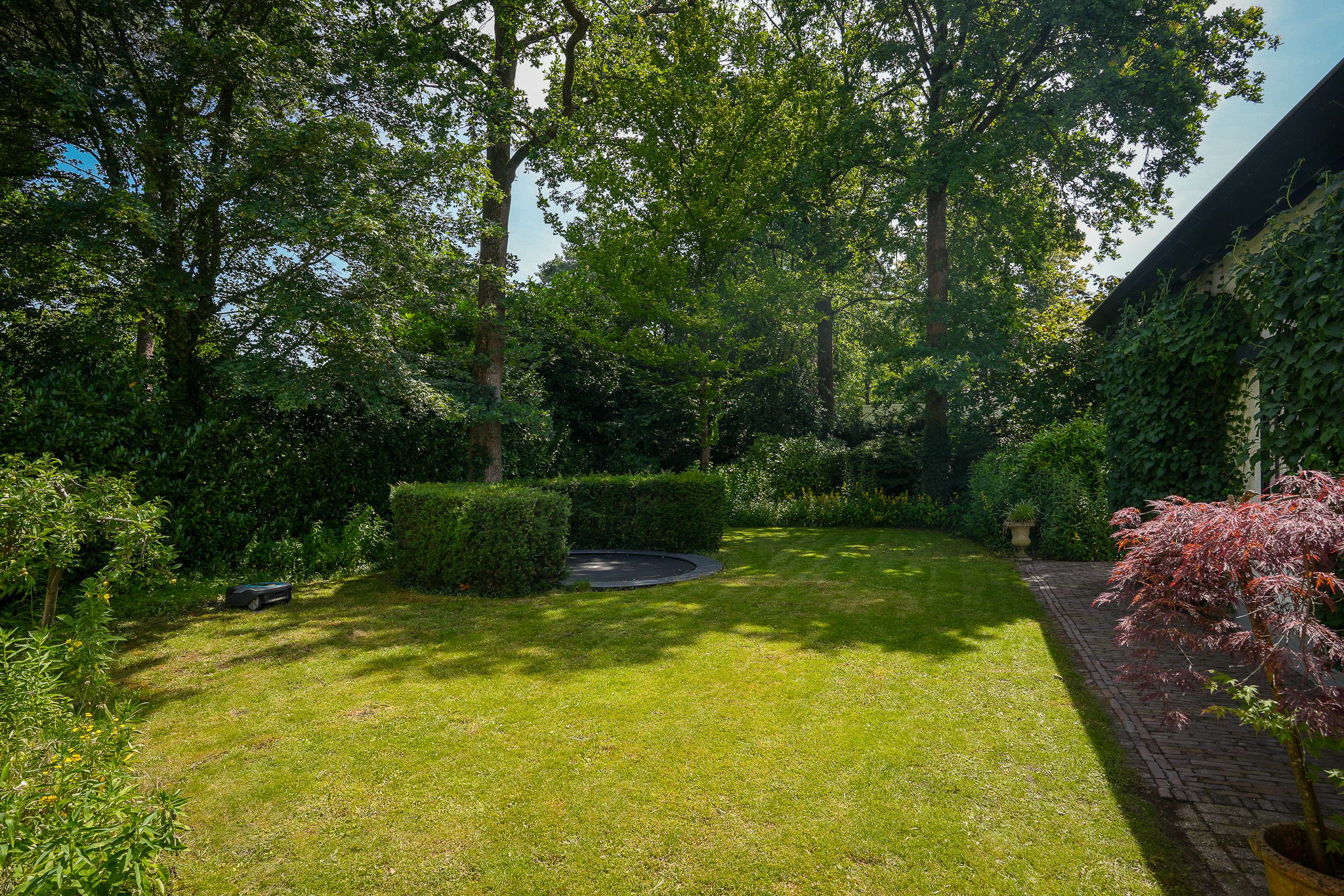 Photo 54 of Vogelkerslaan 8