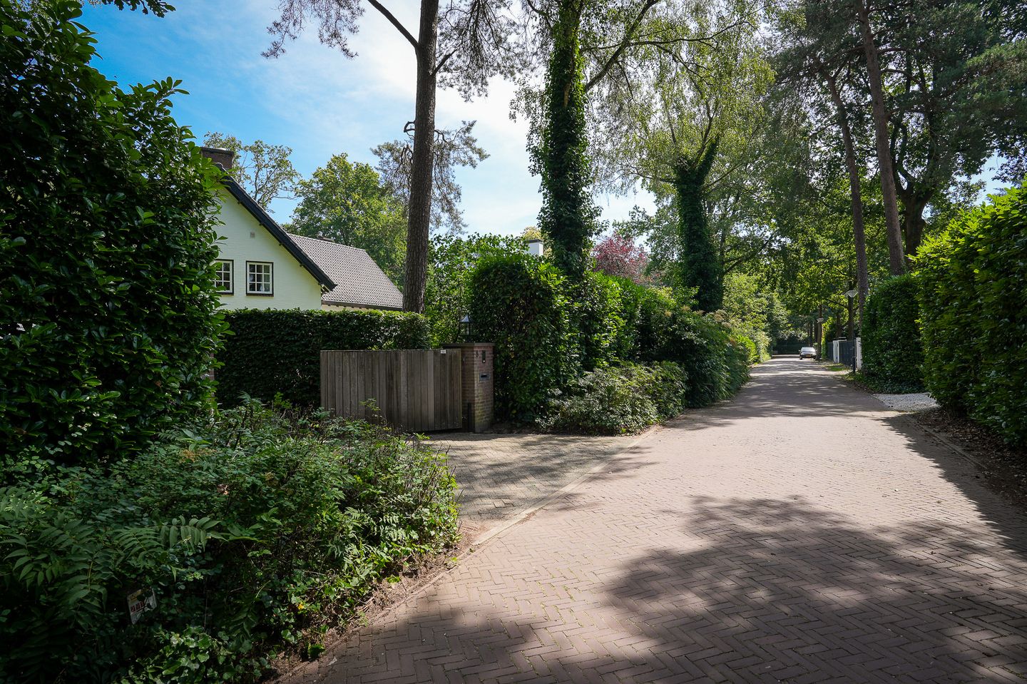 Photo 59 of Vogelkerslaan 8