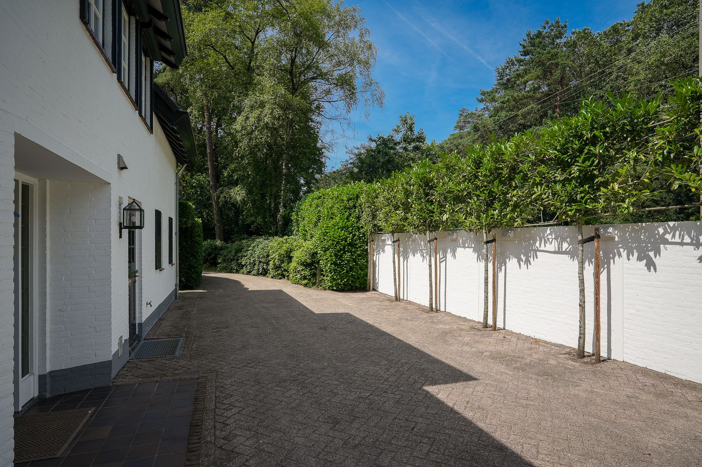 Photo 4 of Vogelkerslaan 8