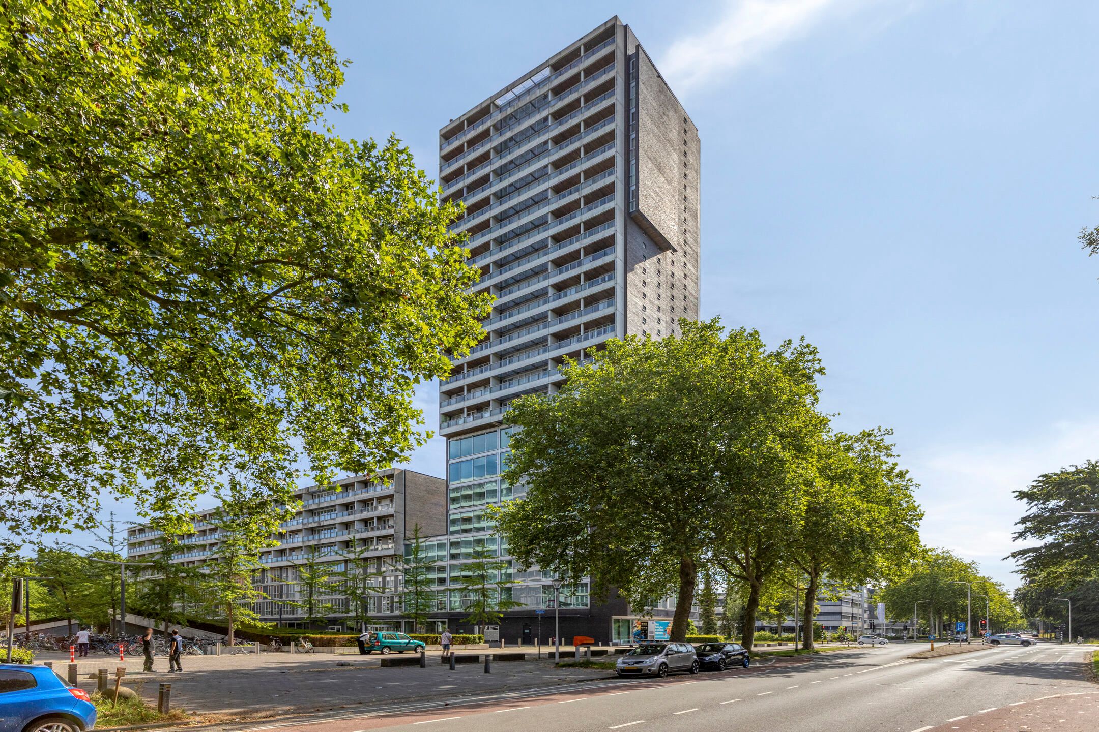 Professor de Moorplein 536 