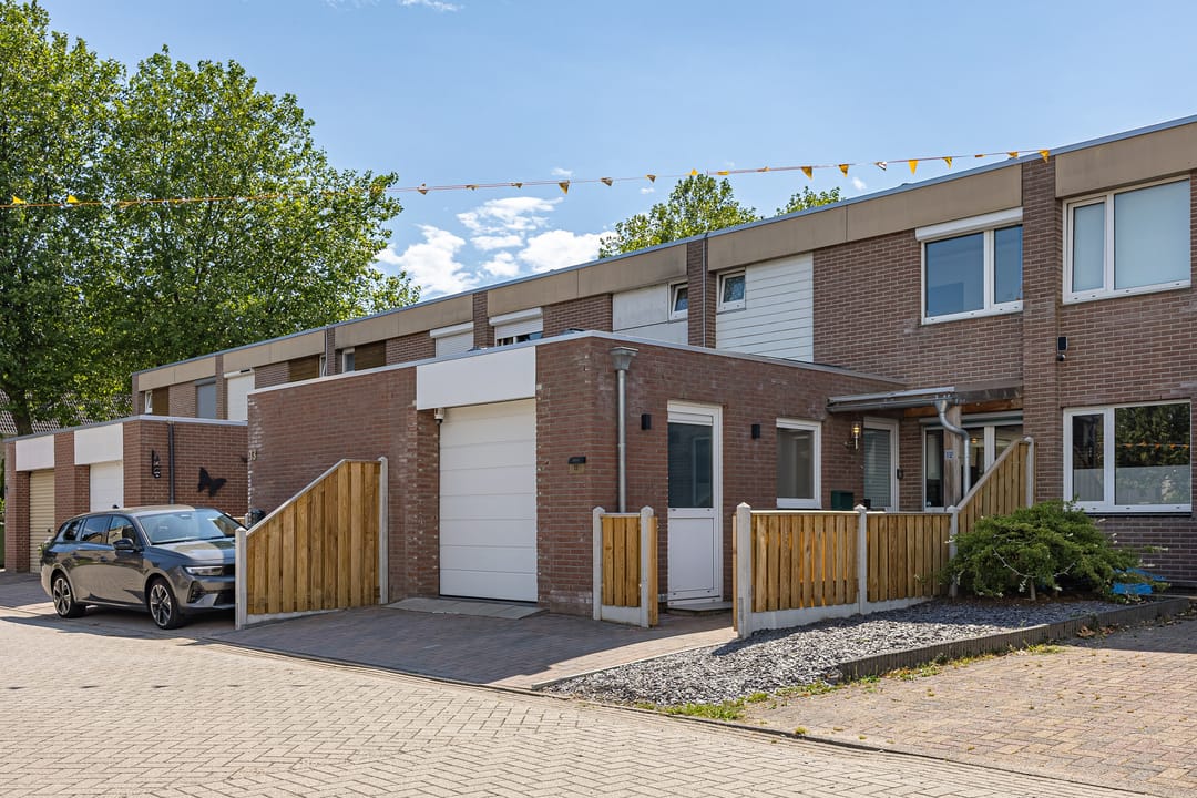 Foto 1 van Tortelduif 12
