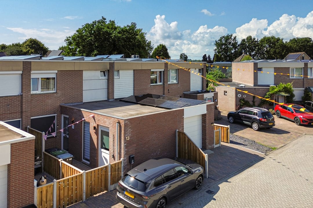 Foto 41 van Tortelduif 12
