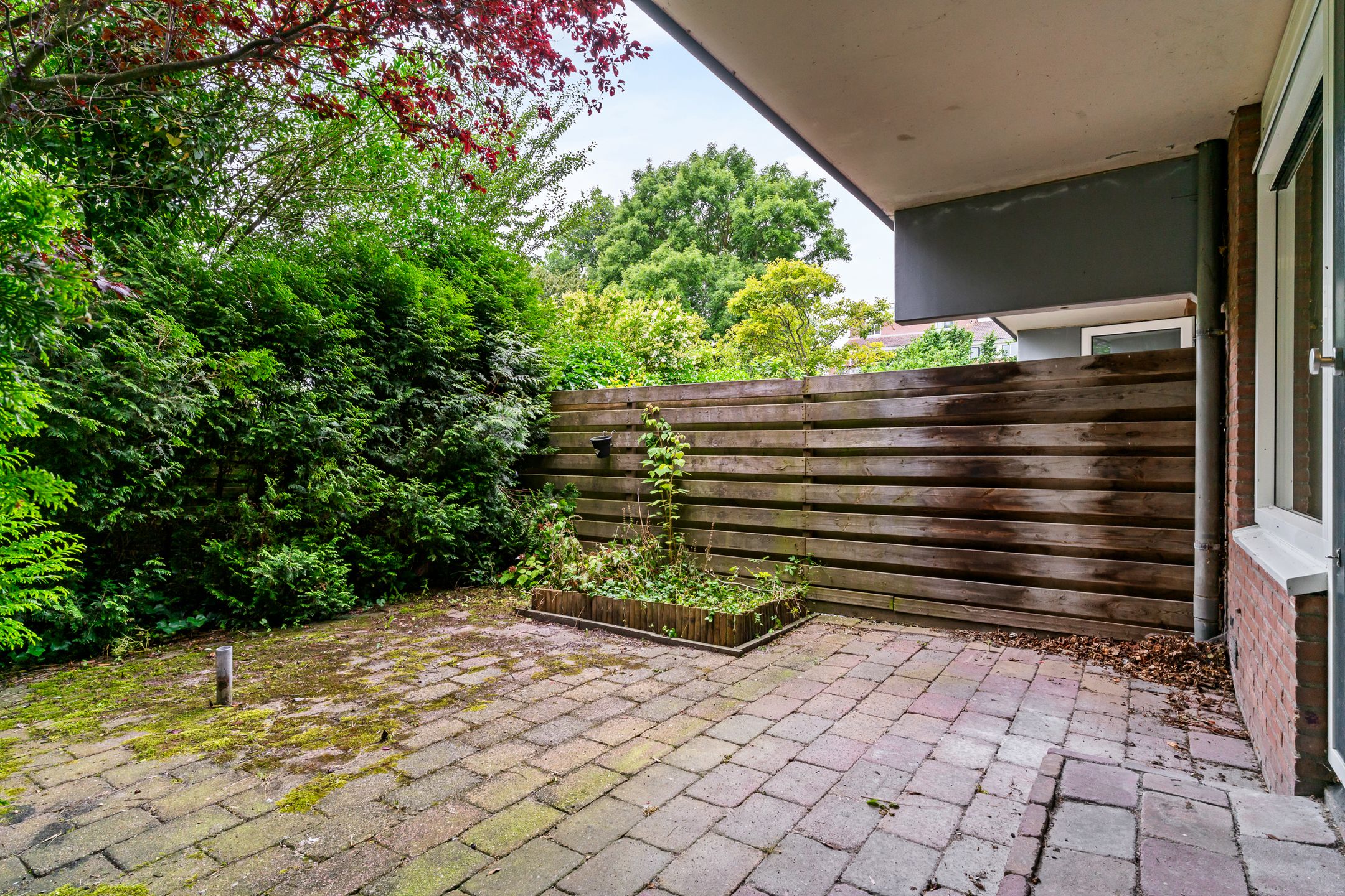 Photo 21 of Poolster 102