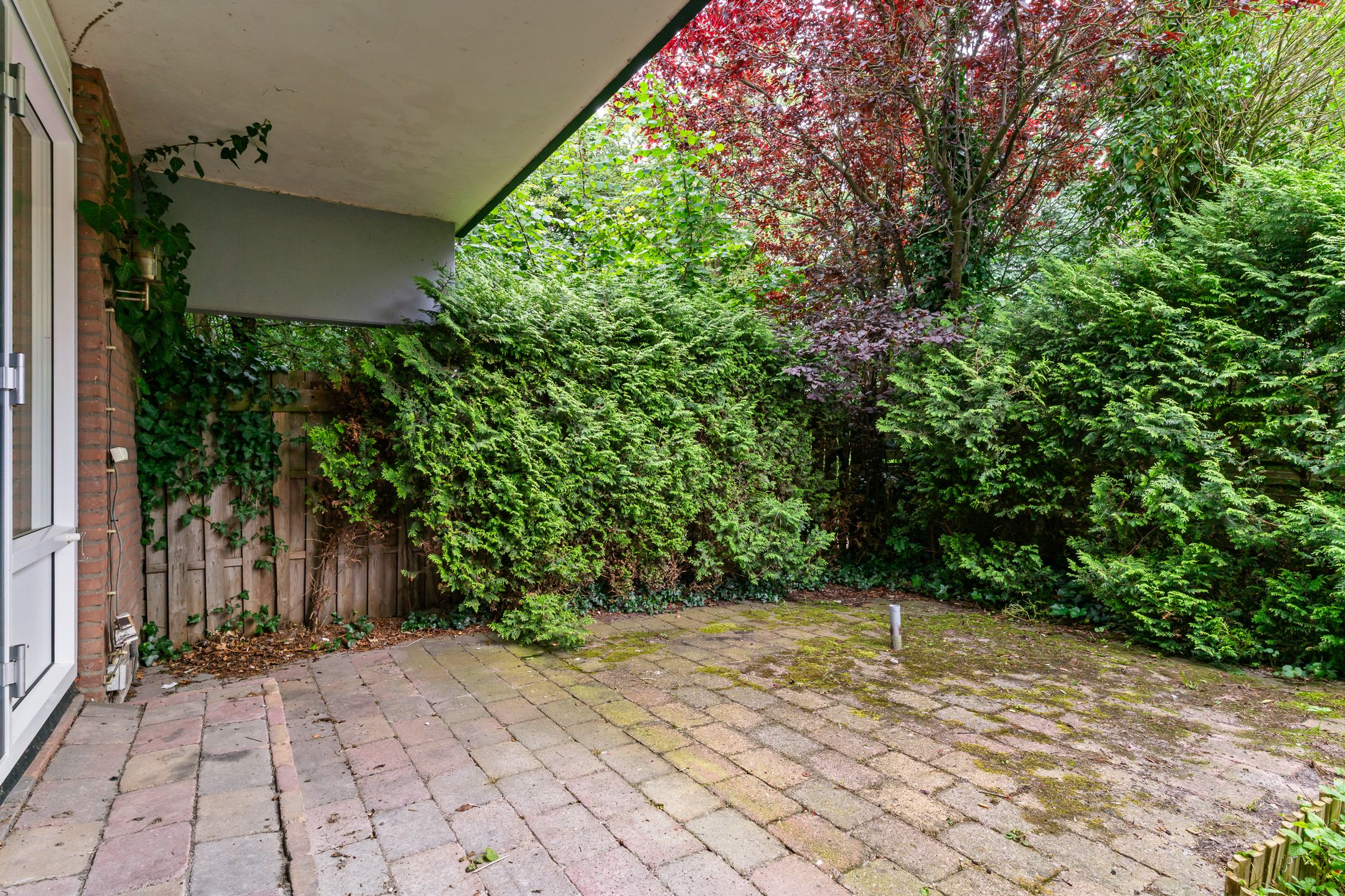 Photo 24 of Poolster 102