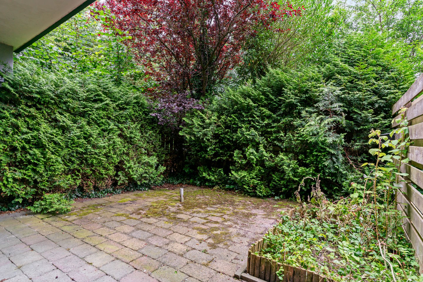 Photo 20 of Poolster 102