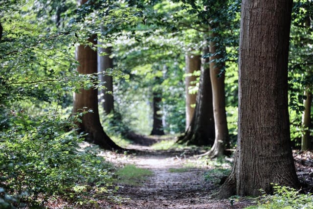 Foto 52 van Halseweg 54-91