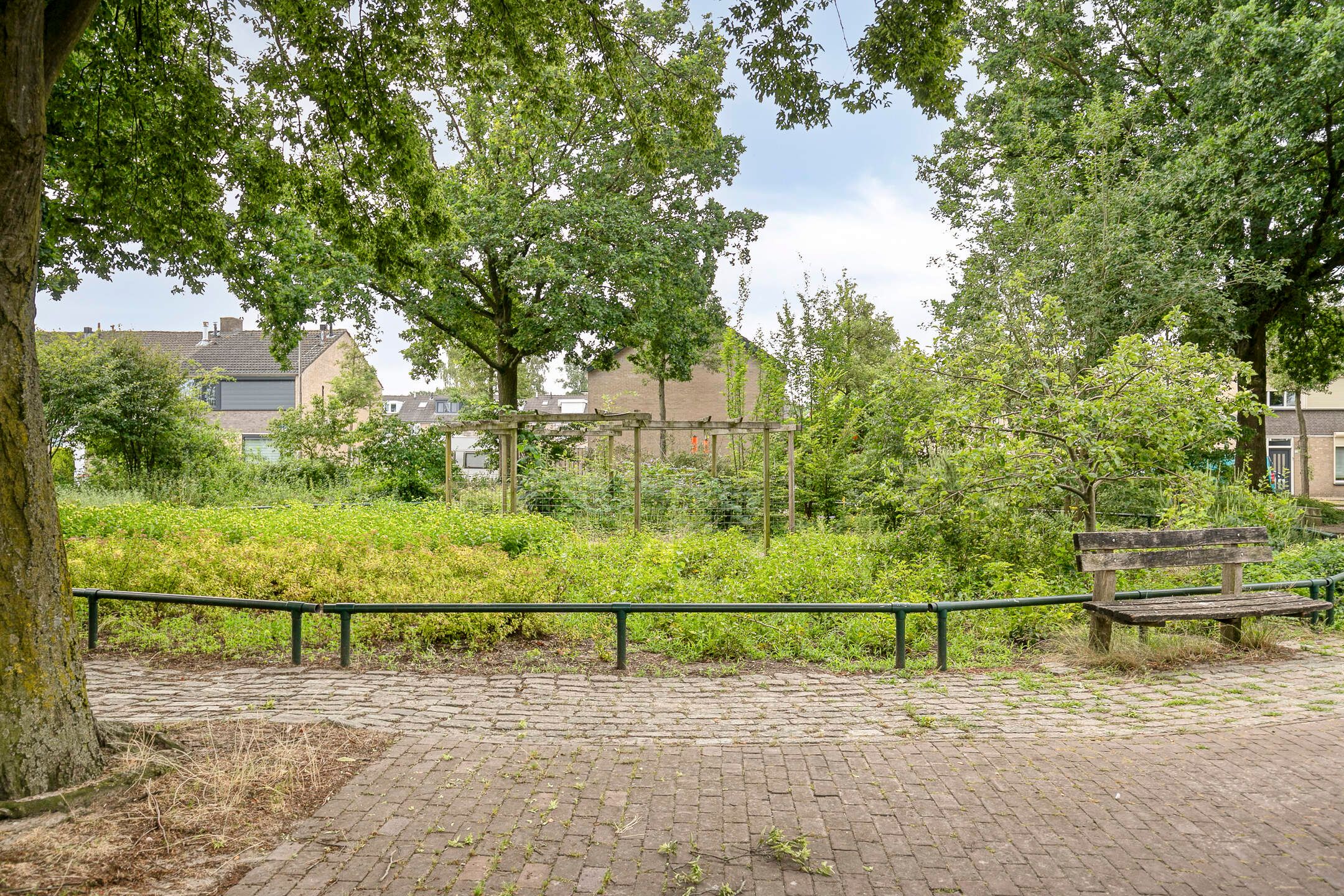 Photo 42 of Bosveld 401