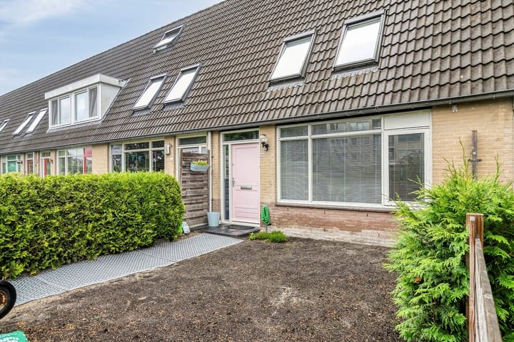 Foto 5 van Haydnplantsoen 100