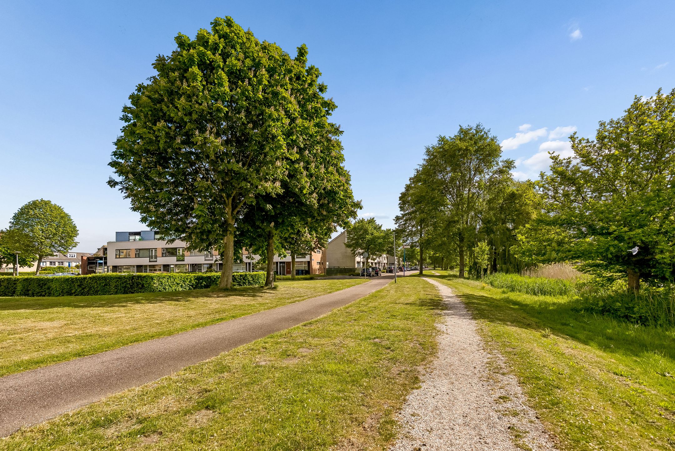 Foto 42 van Fellinilaan 169