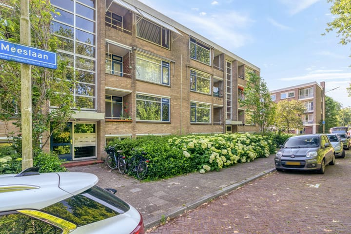 Foto 5 van Meeslaan 18
