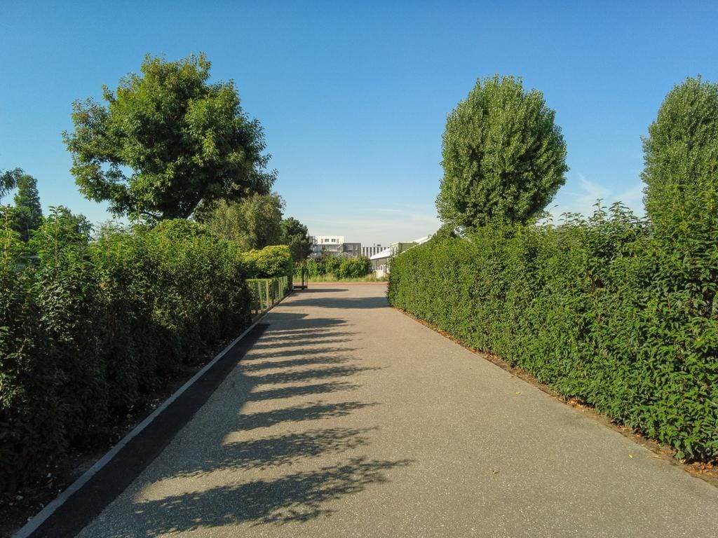 Photo 3 of Machineweg 291