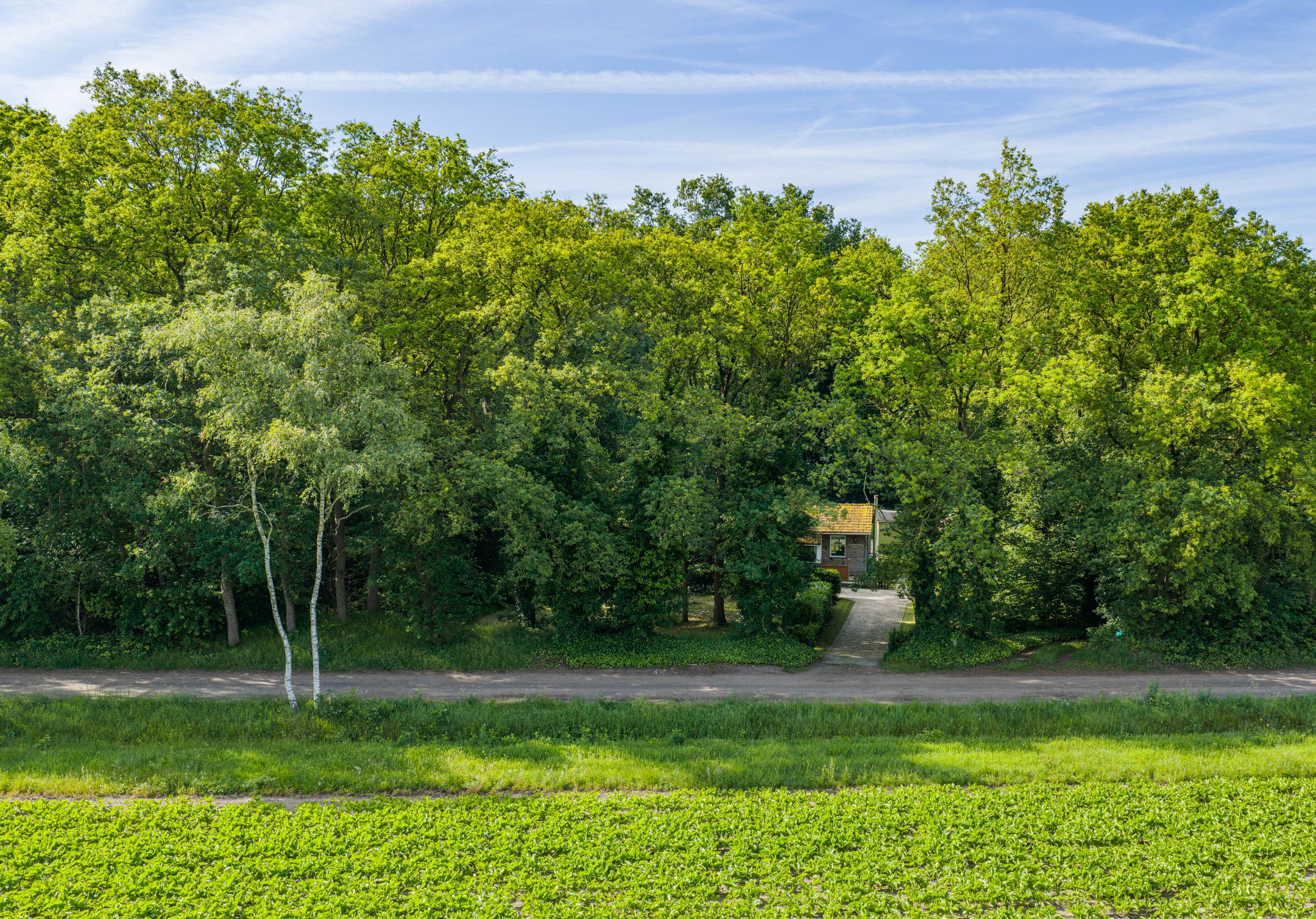 1-bedroom freehold villa in Hooghalen — photo 3 of 5
