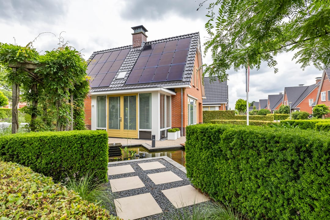 Photo 13 of De Koppel Paarden 2
