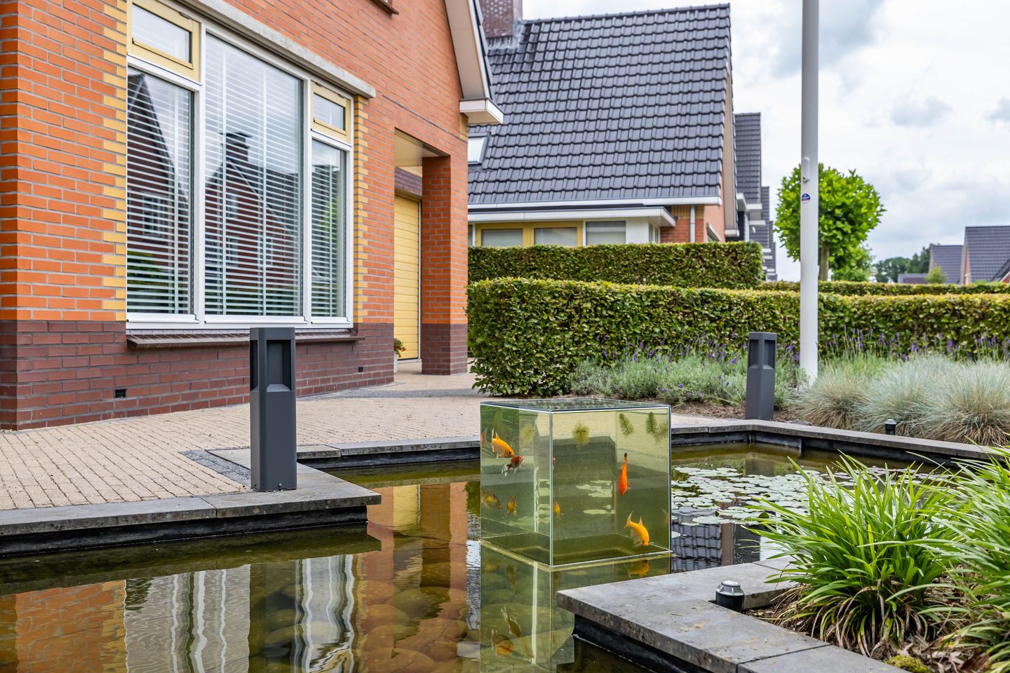 Photo 59 of De Koppel Paarden 2