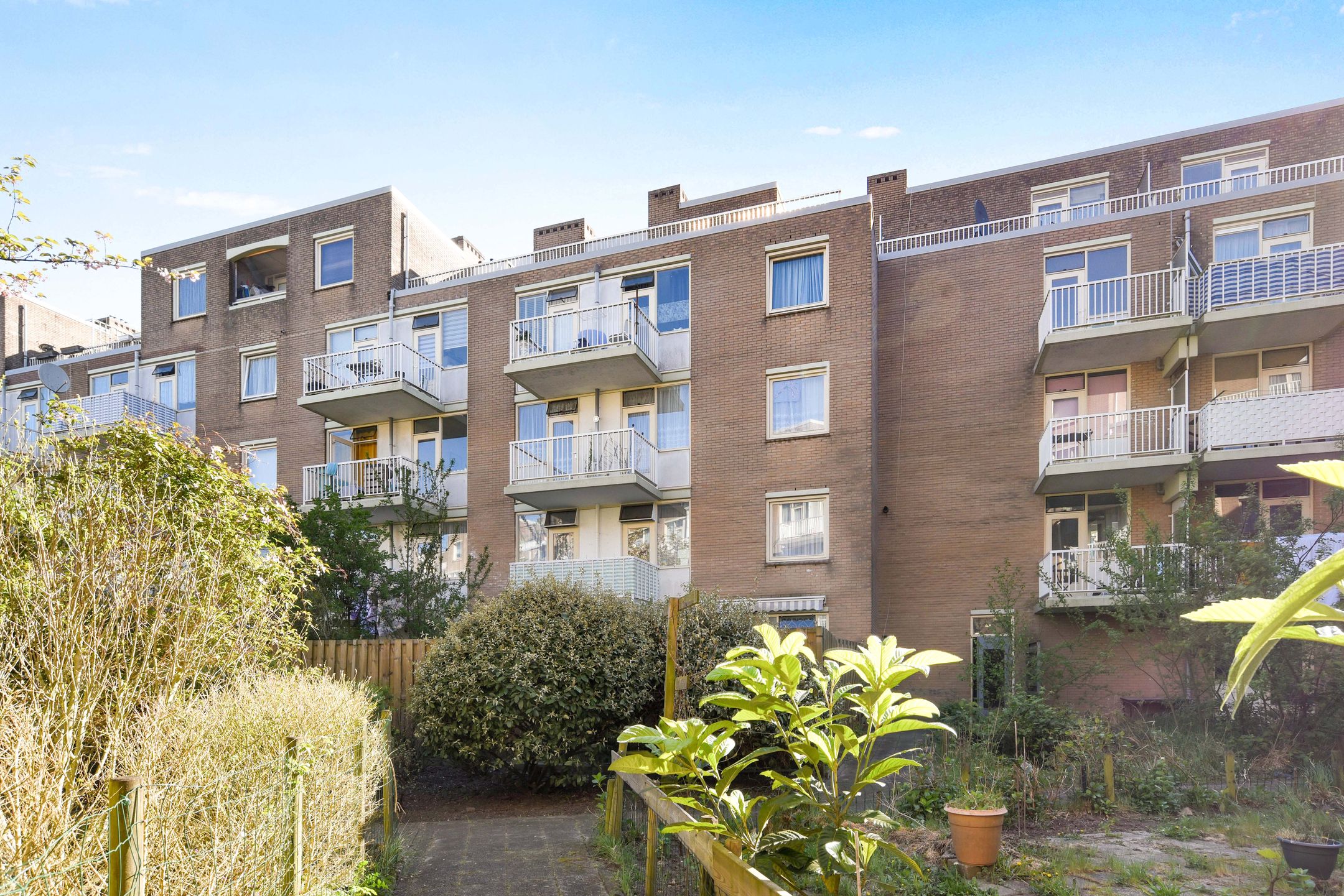 Photo 3 of Boniplein 36-B