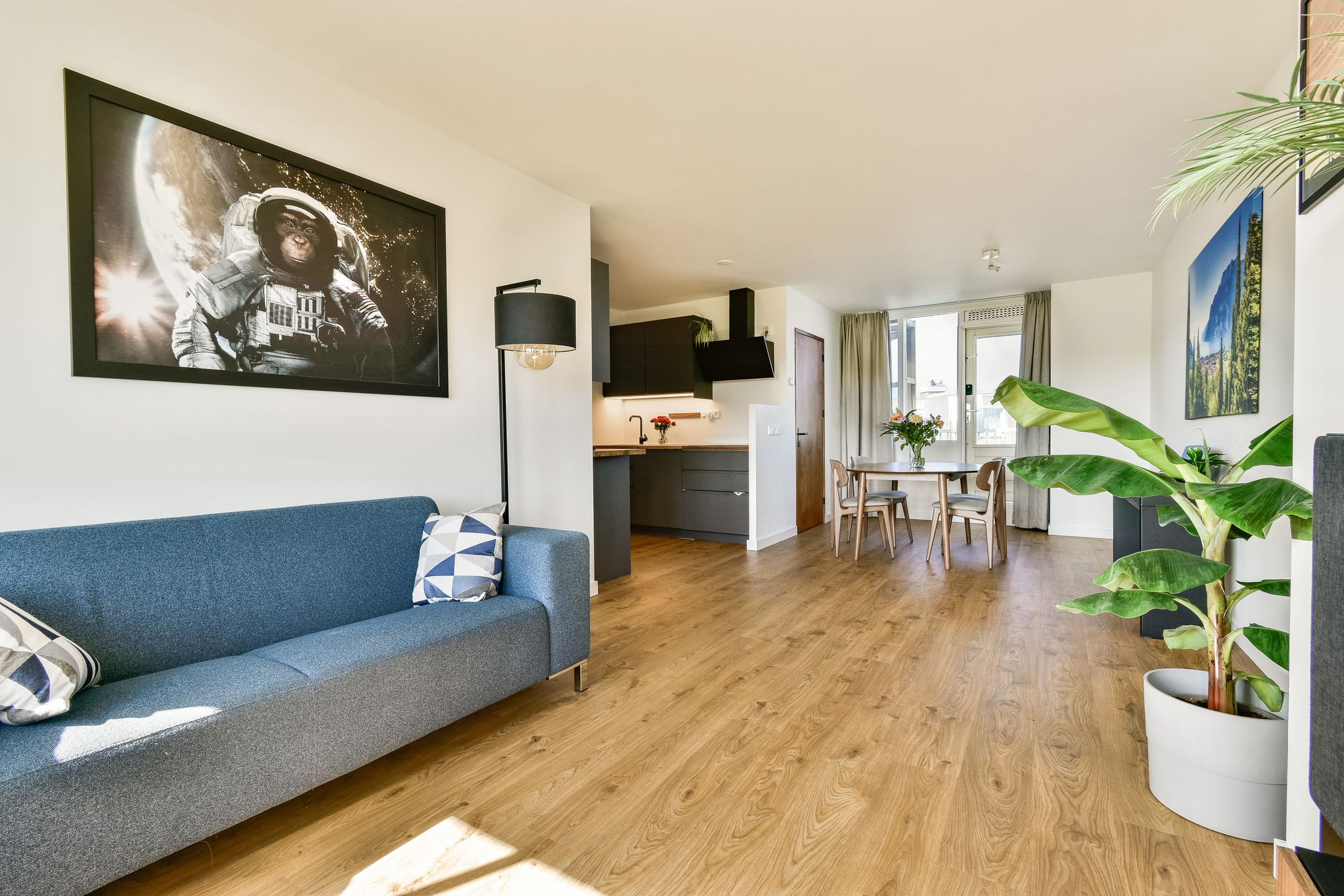 Photo 9 of Boniplein 36-B