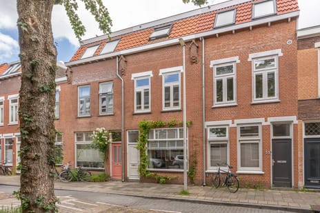 Esdoornstraat thumbnail
