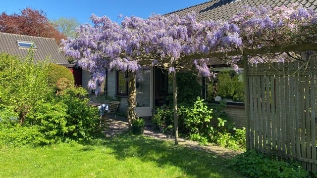 Foto 4 van 't Rond 6