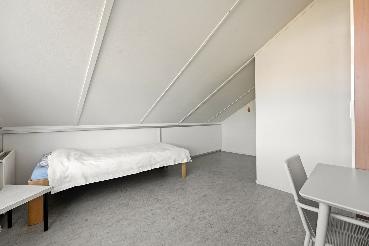 Photo 29 of Clara Wichmannstraat 109
