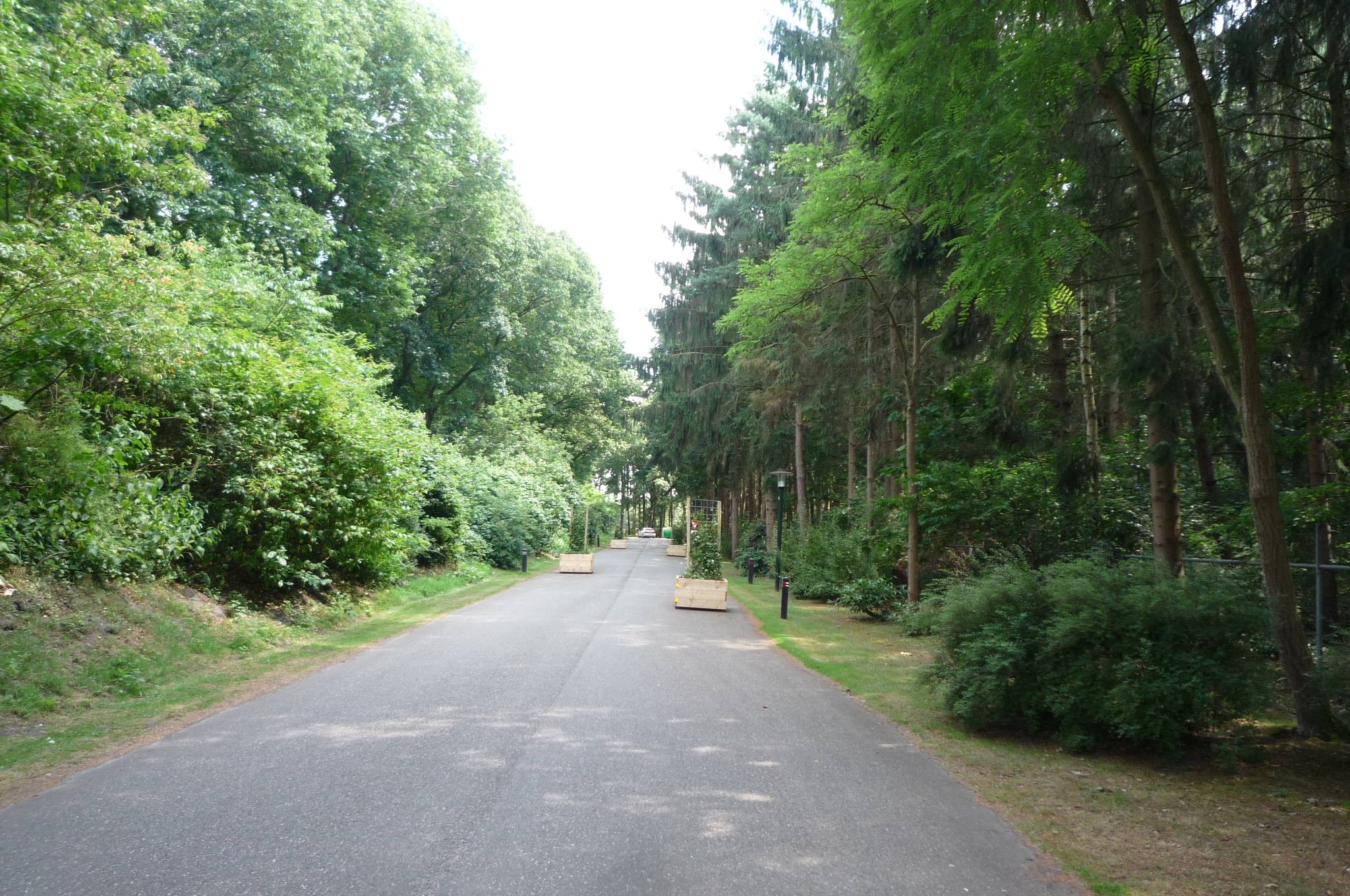 studio freehold villa in Sibculo (Gem. Hardenberg) — photo 4 of 5