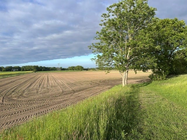 Bekijk foto 2 van Kadoelerweg