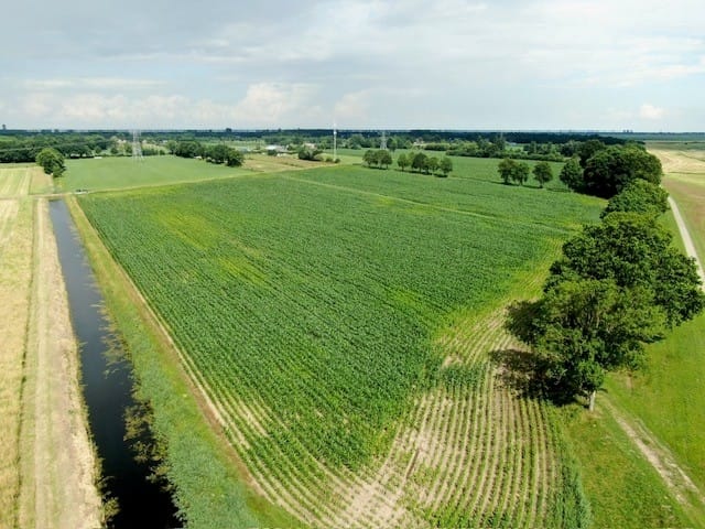 Kadoelerweg - Sint Jansklooster - Afbeelding 7