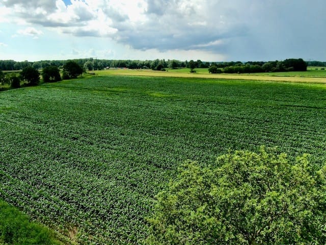 Bekijk foto 5 van Kadoelerweg