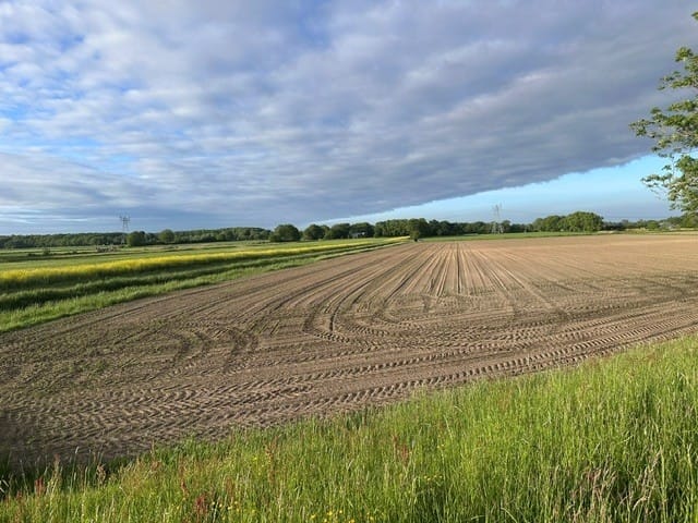 Kadoelerweg