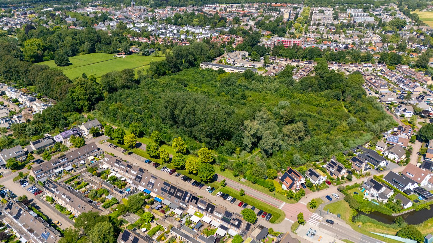 Foto 44 van Domisstraat 19