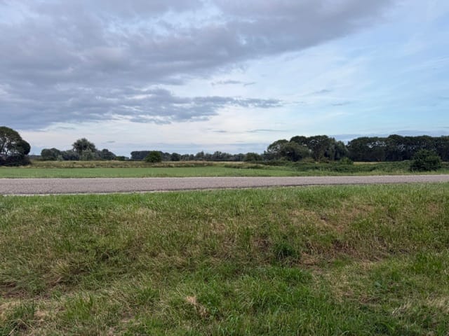 Foto 4 van Ossewei 14