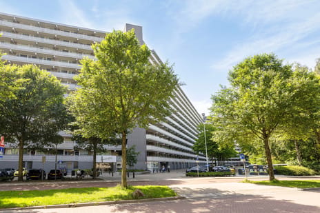 Chopinplein thumbnail