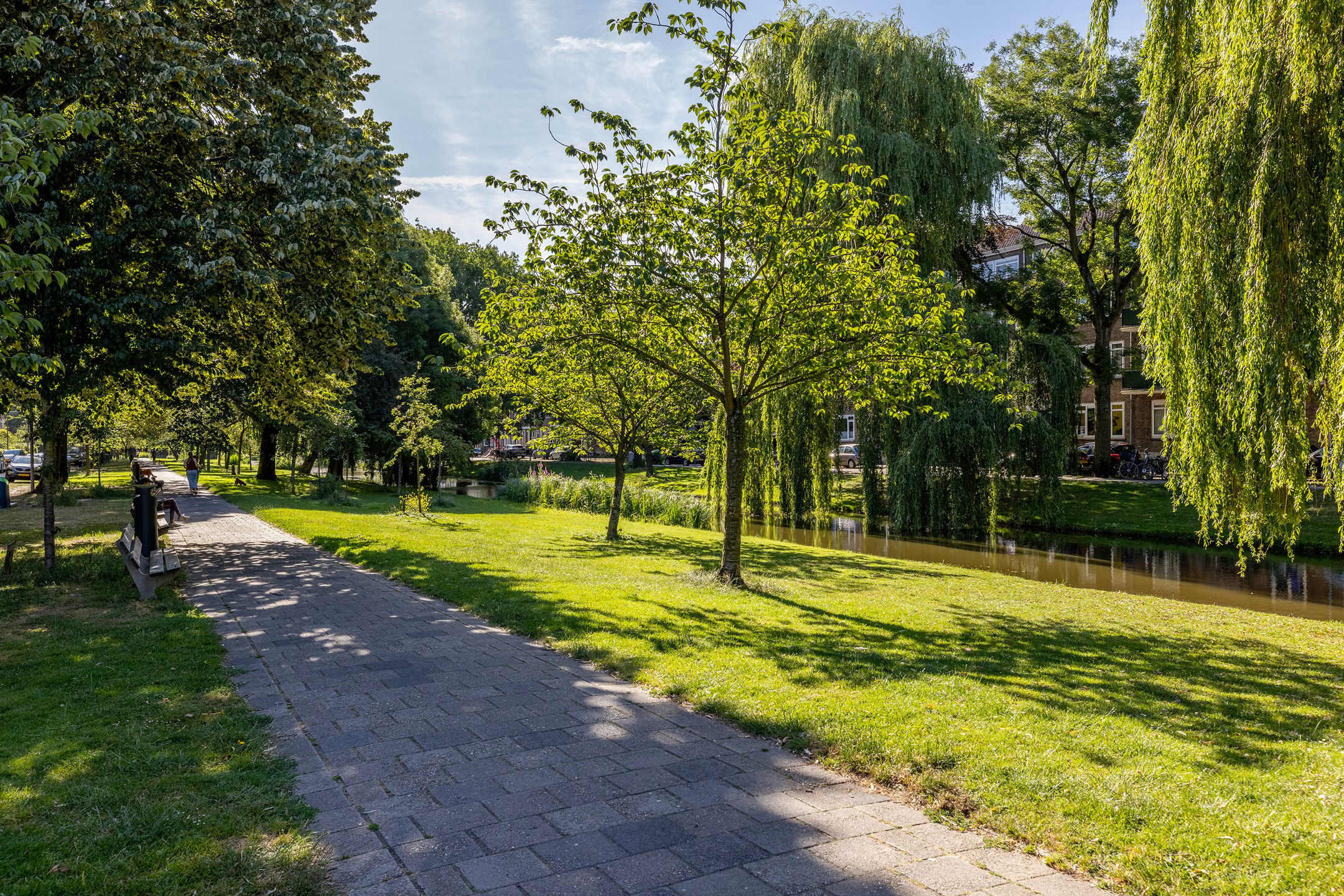 Foto 45 van Dresselhuysstraat 16-B01