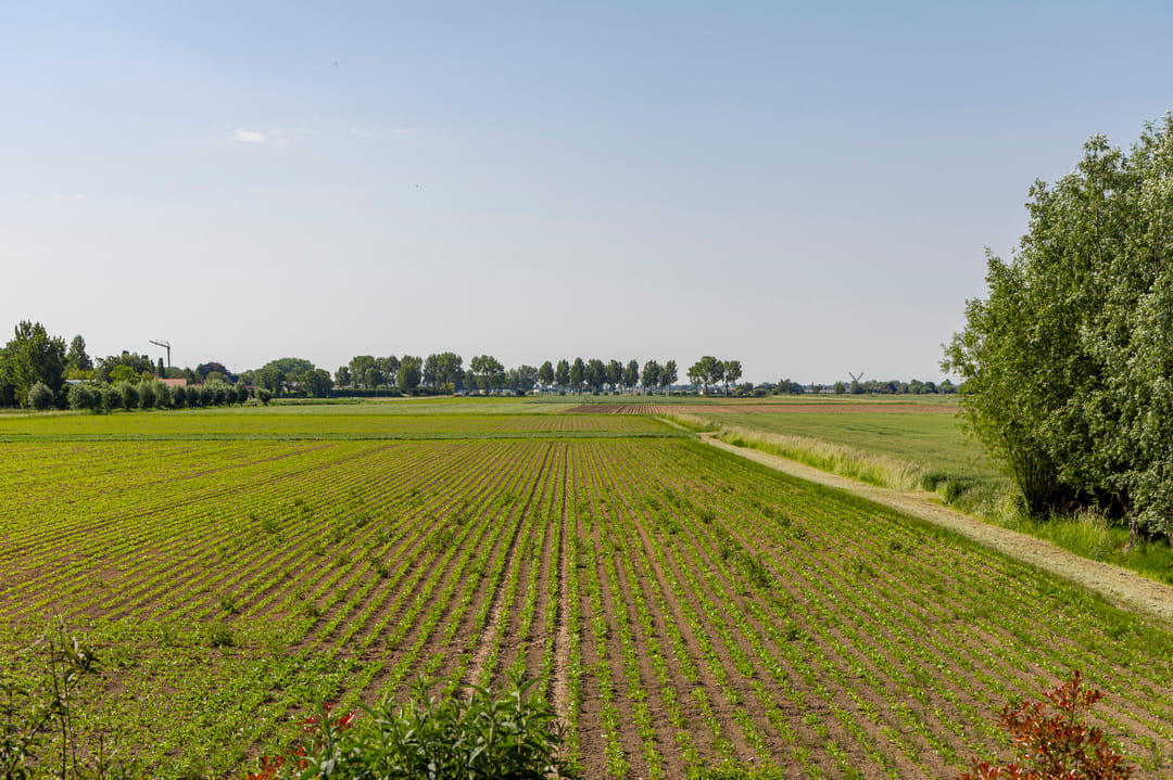 Photo 88 of Buitendijk 8
