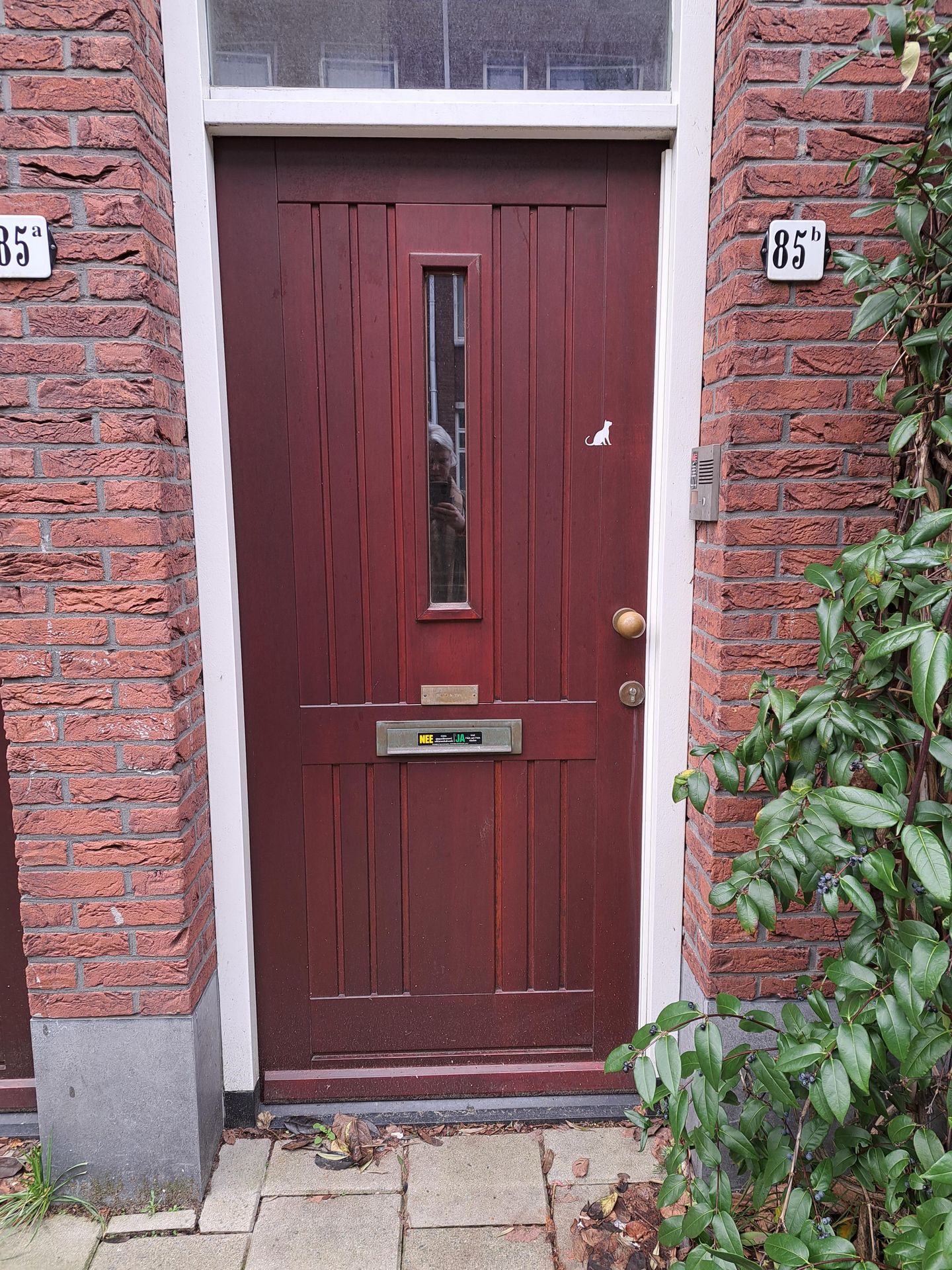 Photo 5 of Reinwardtstraat 85-B